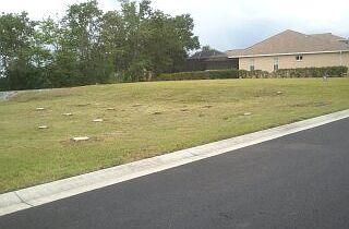 3rd image of 6648 Magnolia Point Dr
