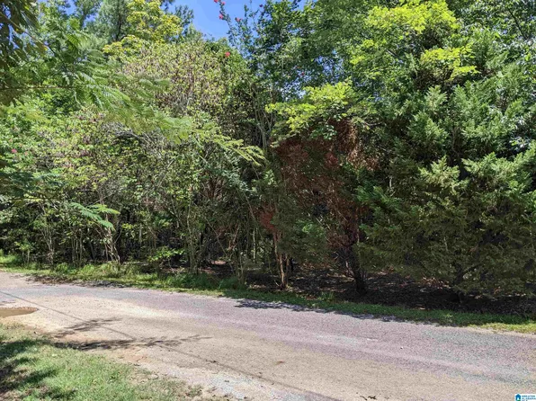 0 Cedar Creek Rd #12804, Odenville, AL 35120