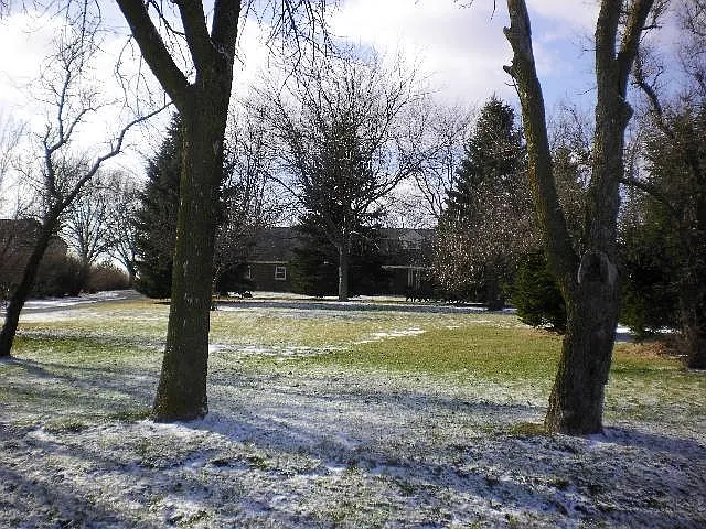 24932 S Harlem Ave photo 1