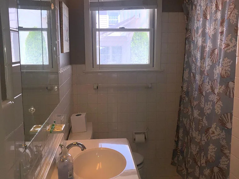 Hall bathroom