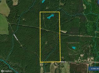 S Patten Rd LOT WP002, Sandy Hook, MS 39478