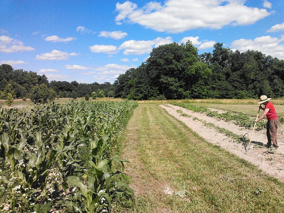 2nd image of Longbranch Rd