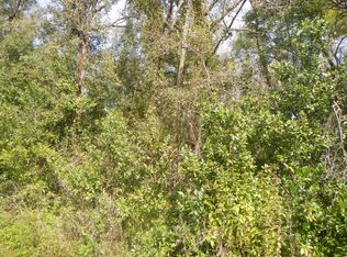 153 Easy St, Florahome, FL 32140