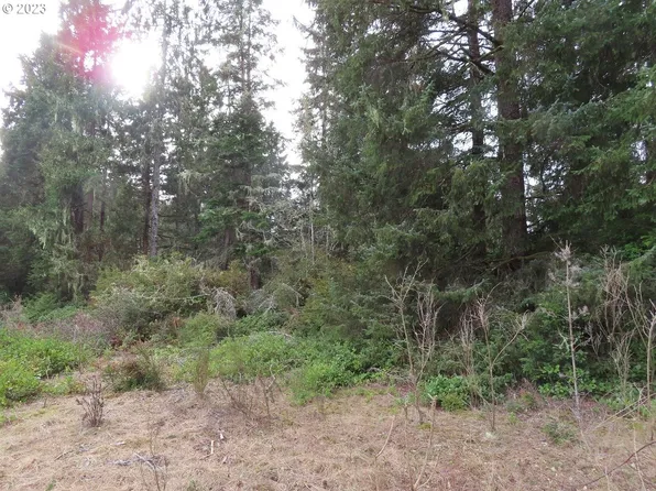 Sandridge Rd, Ocean Park, WA 98640