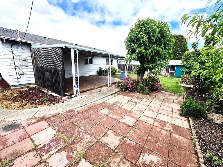 Back Yard Area