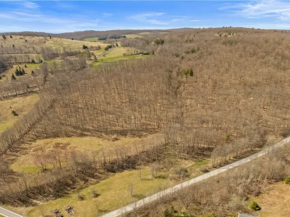 L9113 Lutheranville Rd, East Worcester, NY 12064