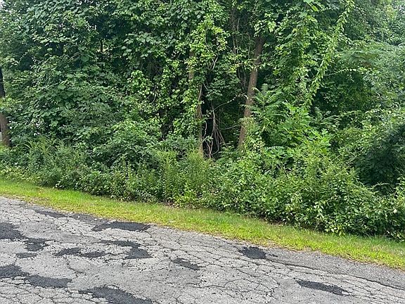 3rd image of 56 Birch Hill Rd