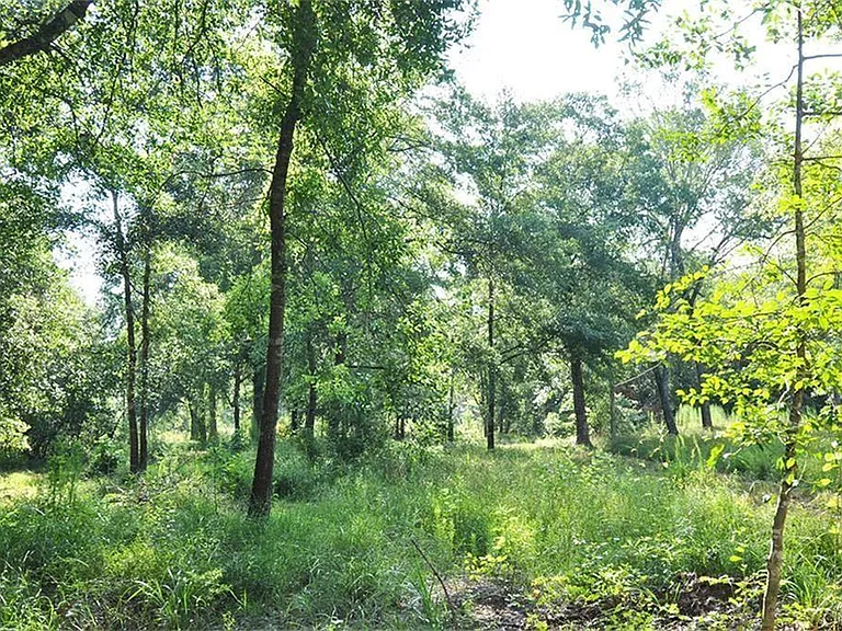 10955 Daw Collins Rd — Photo 1