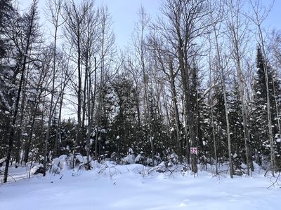 22 Butternut Cir, Eagle River, WI, 54521