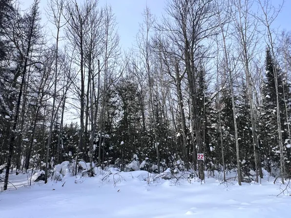22 Butternut Cir, Eagle River, WI 54521