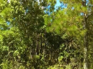 Water Rd, Clermont, FL 34714