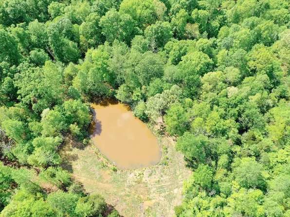 406 Lakewood Rd Tract 3, Princeton, KY 42445