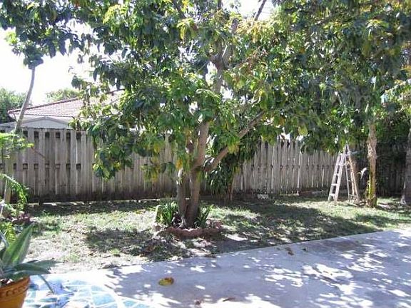 Patio/yard