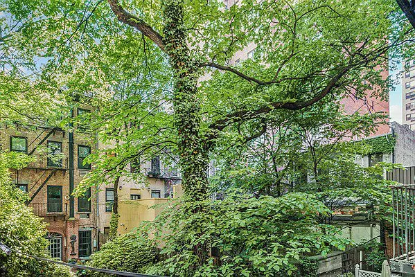 Rented by Mont Sky Real Estate | media 15