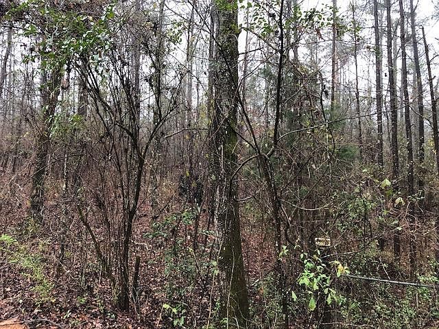 1st image of Bobby Jones Ln