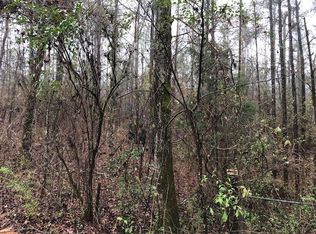 Bobby Jones Ln, Buena vista, GA 31803