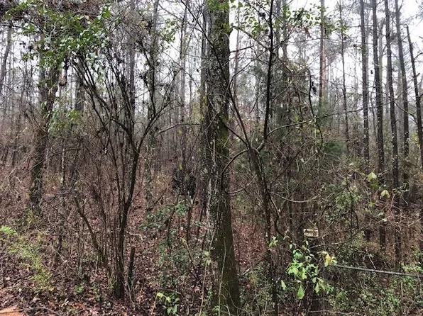 Bobby Jones Ln, Buena Vista, GA 31803