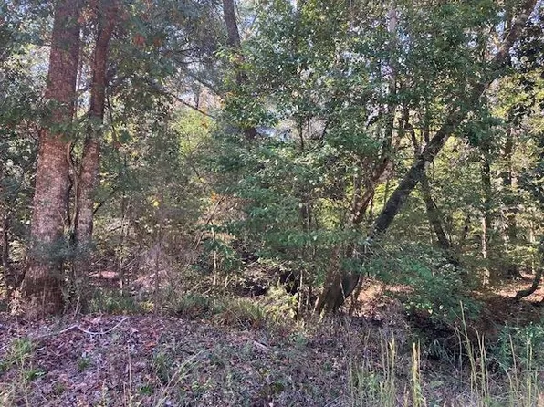 0 Green Rd, Andalusia, AL 36421