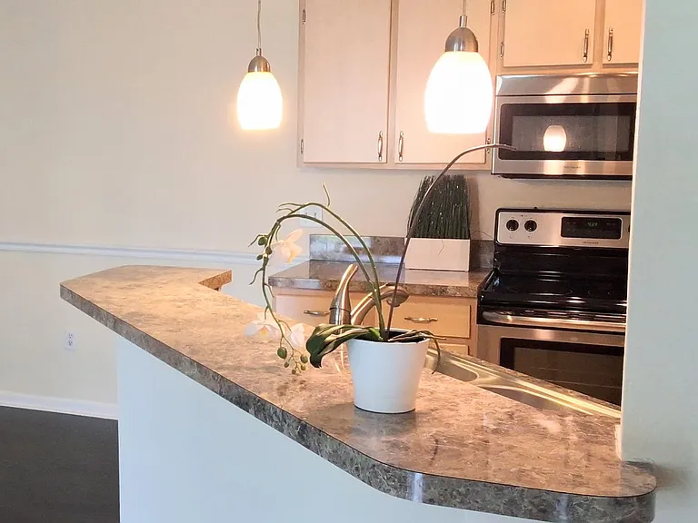 12500 Crest Springs Ln #1031 — Photo 21