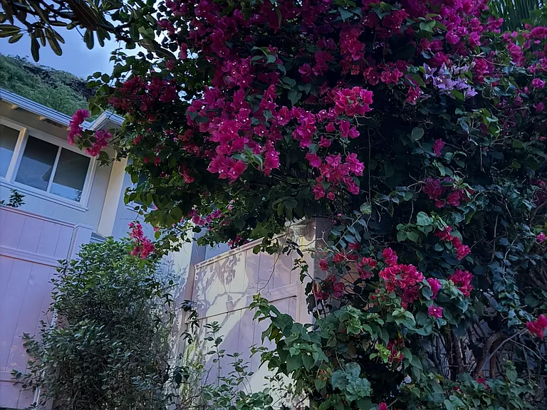6160 Makaniolu Pl — Photo 17