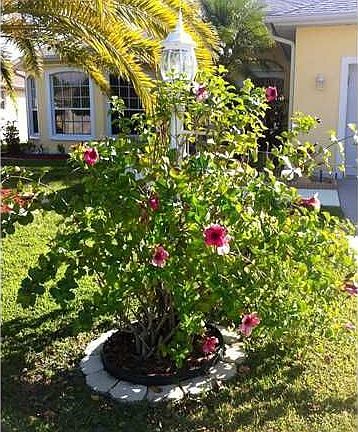 Home For Sale In Hammock Lakes