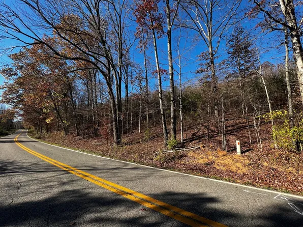 0 Danville Rd Lot 1A, Big Sandy, TN 38221
