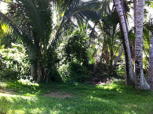 2nd image of Kapoho Kai Dr Lot 180