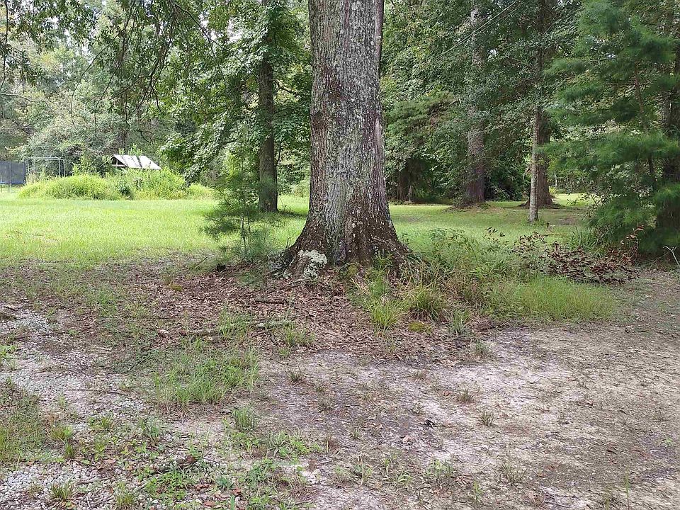 1st image of Forest Dr