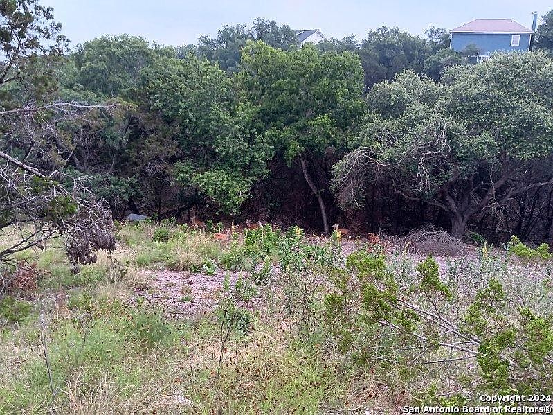 2nd image of 421 LEXINGTON PASS LOT 273