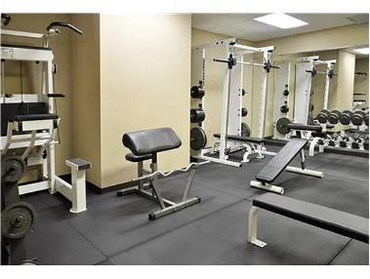 Rented by Douglas Elliman | media 29