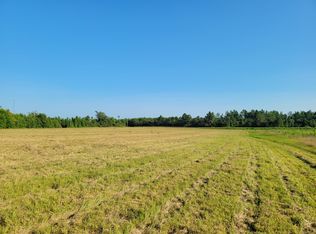 0 Tinker Creek Rd, Williston, SC 29853