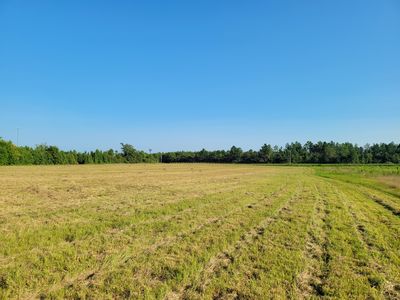 0 Tinker Creek Rd, Williston, SC, 29853