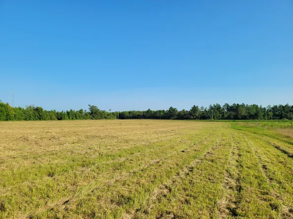 0 Tinker Creek Rd, Williston, SC 29853