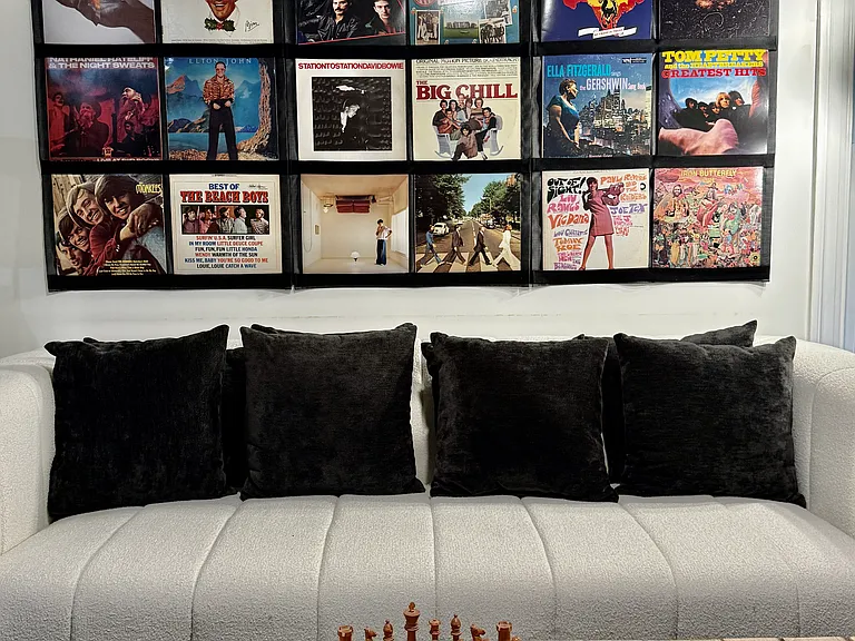 Front Room Music Albums. 55" TV w Roku set up.
