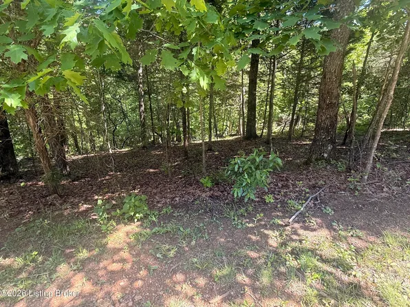 811 Trillium Ct, Brandenburg, KY 40108
