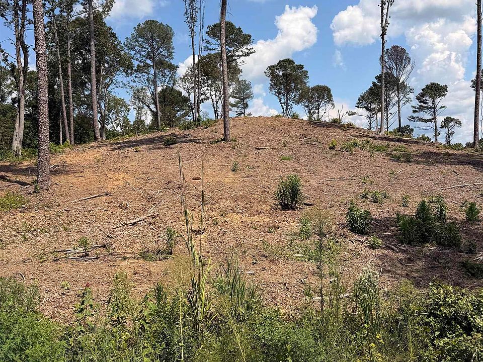2nd image of 35 County Road 158