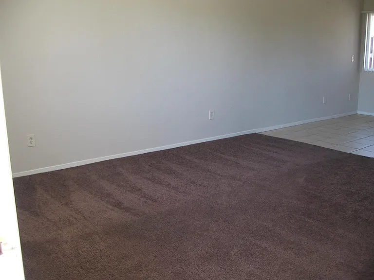 233 La Mirage Ln — Photo 5