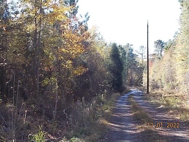 2nd image of 498 Jelly Roll Rd