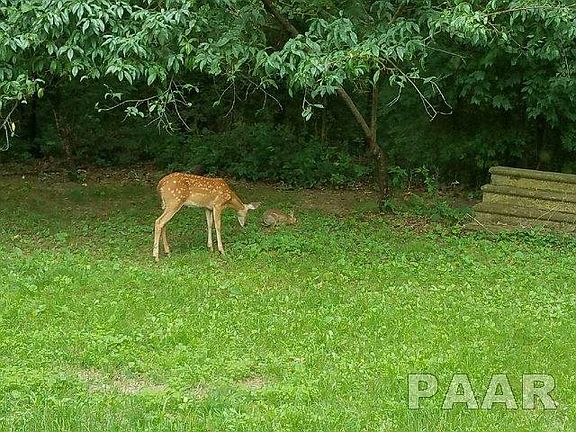 5th image of 18179 E County Road 1700n