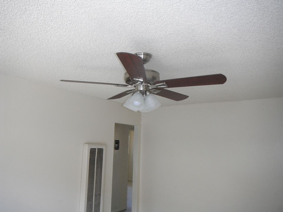 New ceiling fan/light in living room.