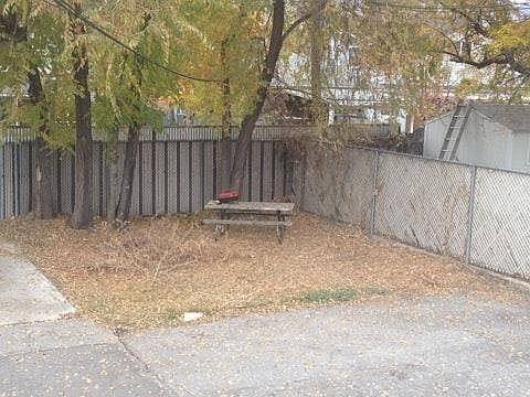 Back yard
