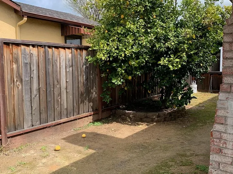 41442 Malcolmson St — Photo 8