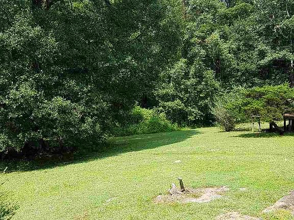 3rd image of 204 Deerwood Cir