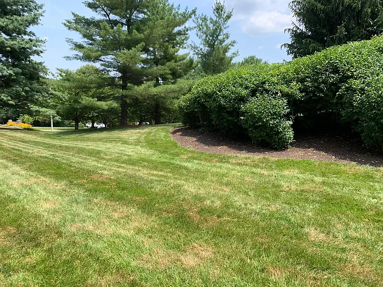 800 Amber Tree Ct #103 — Photo 23