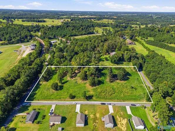 810 E Railroad Ave NE, Hanceville, AL 35077