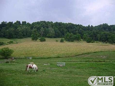5th image of 85 S Harris Creek Spur