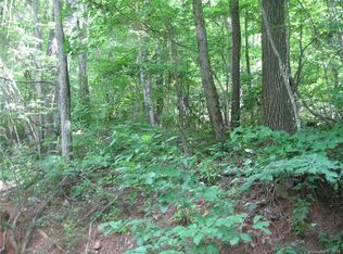 99999 Wedgewood Ter #1107 & 1107, Black Mountain, NC 28711