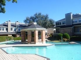 Branch Creek Apartments