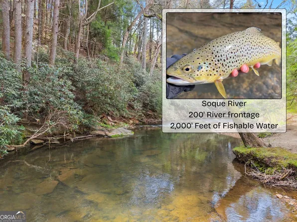 19 Soque Cir, Clarkesville, GA 30523