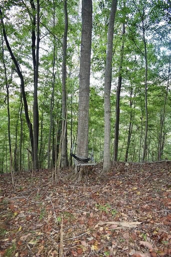 0 McBroom Branch Rd, Baxter, TN 38544 MLS 2582347 Zillow